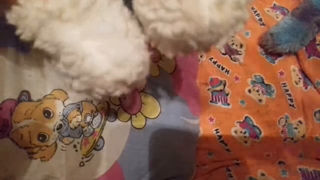 Что мы делаем после дневного сна ??