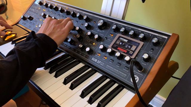 Moog Sub 37 - Bass Sequence смотреть онлайн