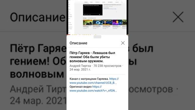 Матрицы Гаряева П. на канале TOP RELAX Андрея Тиртха смотреть онлайн