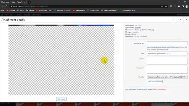 How To Check a File Size in WordPress Media Library смотреть онлайн