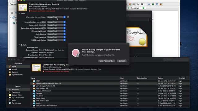 01. Дружим OWASP ZAP и Firefox смотреть онлайн