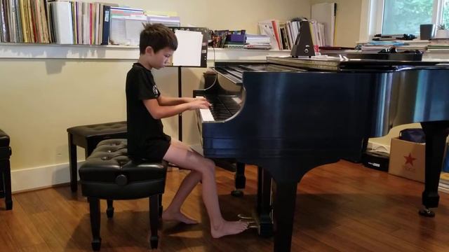 Noah Elsing - Carl Koelling Fluttering Leaves in A minor смотреть онлайн