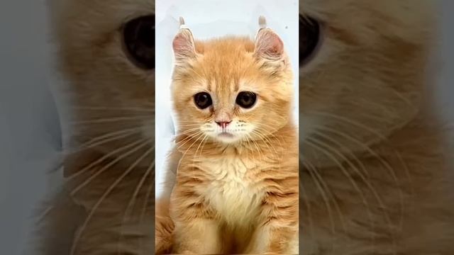 Выбросьте еду, если увидите это?