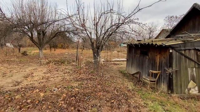 ПОСЛЕДНЕЕ видео про ДАЧУ / одно уходит а другое приходит смотреть онлайн