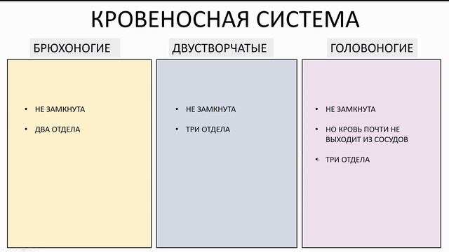 9. Разнообразие моллюсков (Speedrun зоология 7 класс, ЕГЭ, ОГЭ 2021) смотреть онлайн