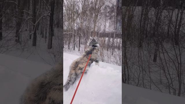Дул южный январский ветерок смотреть онлайн