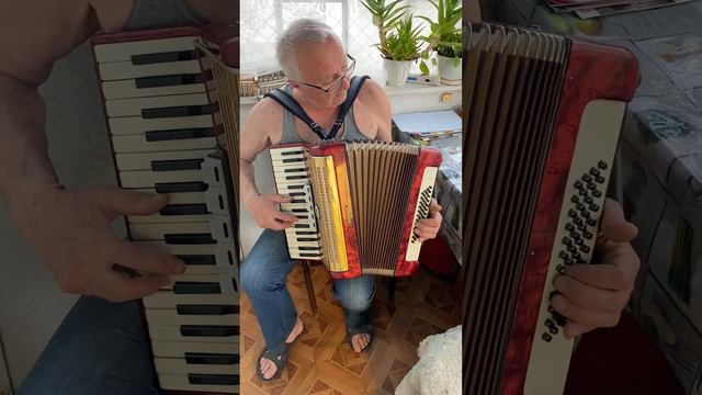 Weltmeister Accordion, 3/4 Accordion, 48 Bass, 34 Keys, 3 Voices, 5 Registers, Germany Accordion