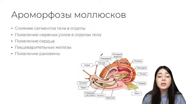 АРОМОРФОЗЫ ЖИВОТНЫХ НА ЕГЭ | БИОЛОГИЯ 10 КЛАСС | 99 БАЛЛОВ