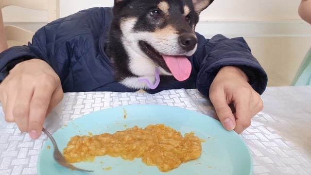 Doggy Daycare for kids with Bug смотреть онлайн