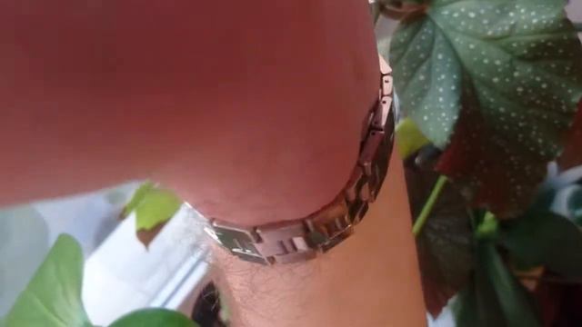 Швейцарские часы Certina DS часы Stella смотреть онлайн
