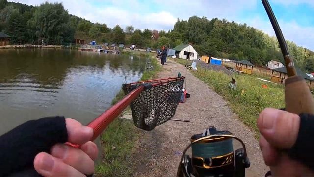 МИСАЙЛОВО TROUT. 7 сентября ОТКРЫТИЕ ОСЕННЕГО ФОРЕЛЕВОГО СЕЗОНА 2022 смотреть онлайн