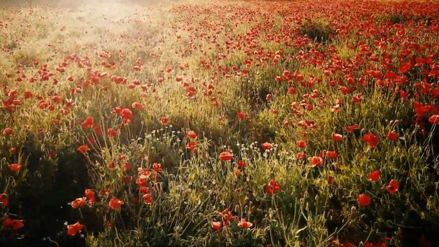 POSITIVE AFFIRMATIONS | RELAXING MUSIC | EVERYONE SHOULD HEAR IN THE MORNING | RELAX A LITTLE |4K H смотреть онлайн