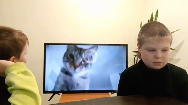 смотрим прикольный видео челенж. смеёмся над видио. коты и собаки смотреть онлайн