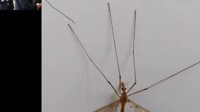 Voodo in the forest and internet dependence broke my monitor from other town смотреть онлайн