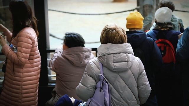 СнимаЮ от Элиоры: СолНцЕволя. смотреть онлайн