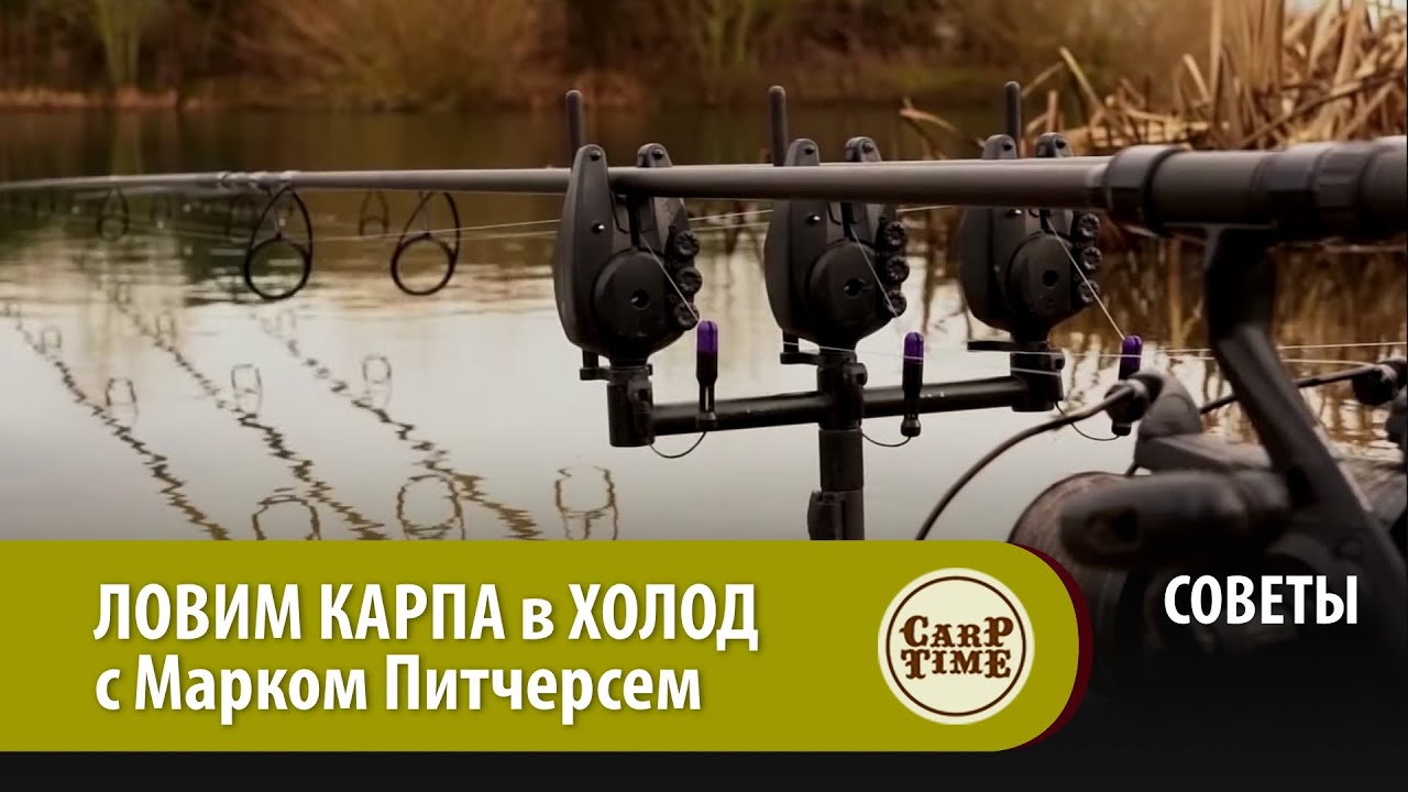 ЛОВИМ КАРПА в ХОЛОД с Марком Питчерсем СОВЕТЫ