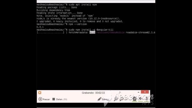 Instalacion de NodeJS, npm y Angular en Ubuntu Server смотреть онлайн