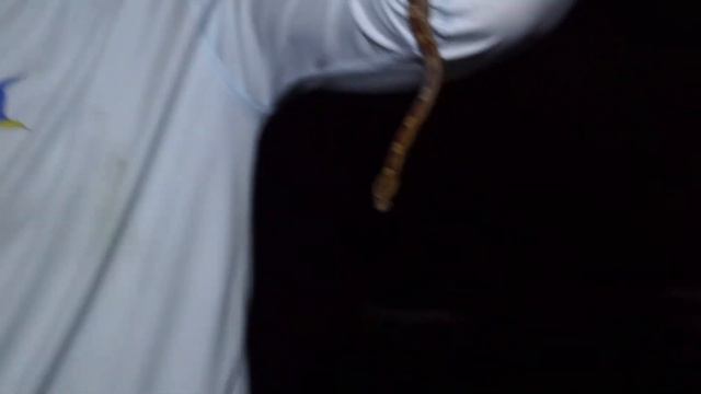 We found a HIDDEN SPACESHIP While Hunting for HUGE PYTHONS! Ep.73 смотреть онлайн