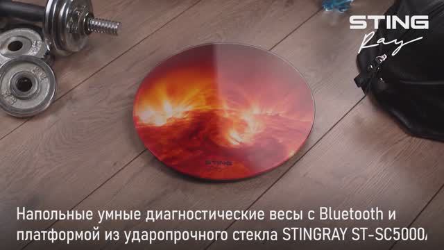 Напольные диагностические весы STINGRAY ST-SC5000A