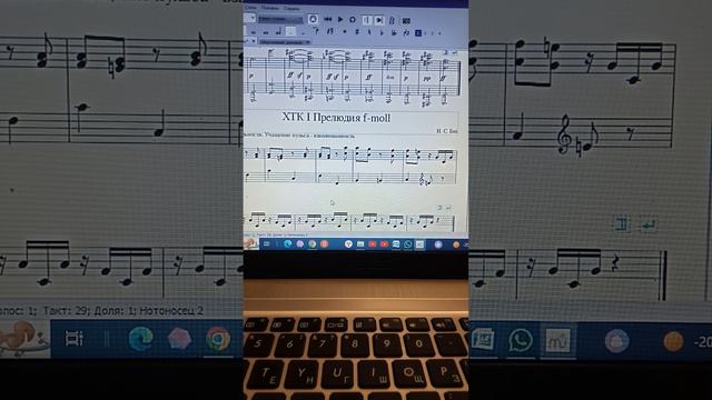 Элементарная теория музыки. Музыкальный звук. смотреть онлайн