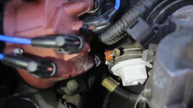 Toyota 3.0 3VZE EGR/Hardline Delete