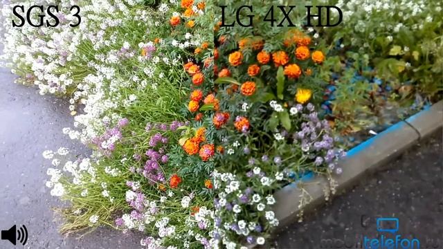 Samsung Galaxy S 3 vs LG Optimus 4X HD: сравнение камер (camera test, comparison) смотреть онлайн