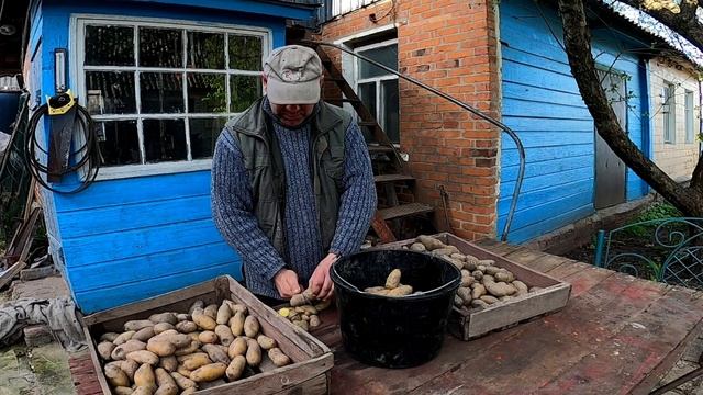 Повний експеримент по сорту картоплі Гранада. A complete experiment on the Granada potato variety. смотреть онлайн