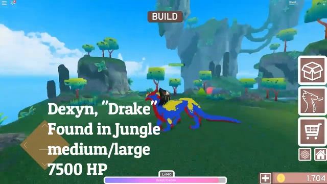 ROBLOX|Dragon Adventures|Showcase Of All Dragons! (OUTDATED)