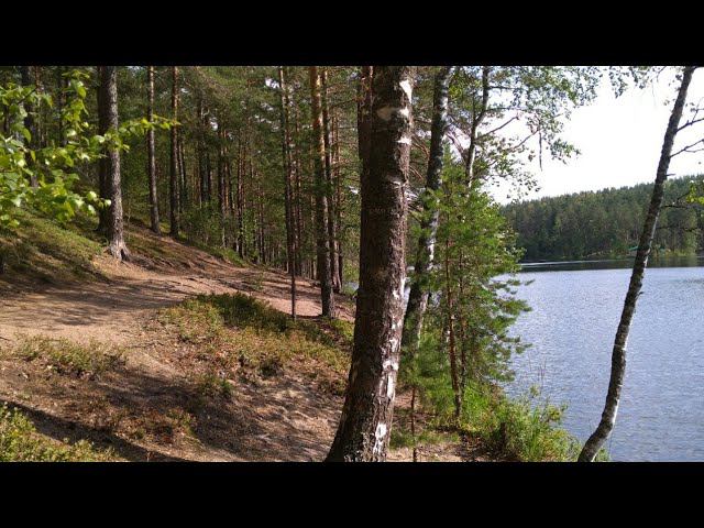 Карельский перешеек.Ленинградская область.Прогулка 10 августа смотреть онлайн