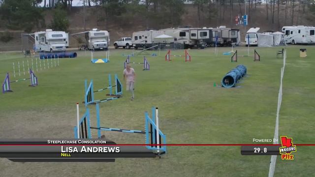 USDAA Western Regionals - Steeplechase Consolation смотреть онлайн