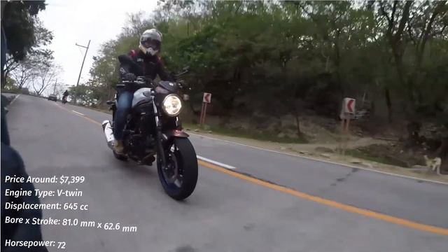 Top 10 Motorcycles For Beginners in 2024 смотреть онлайн
