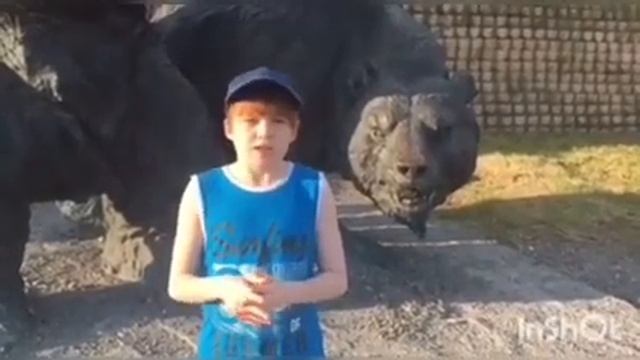 Zveroznayka. Выпуск 4. Почему медведи впадают в спячку? смотреть онлайн