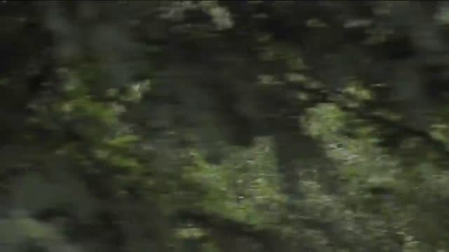 Дорога в Банско, Болгария смотреть онлайн