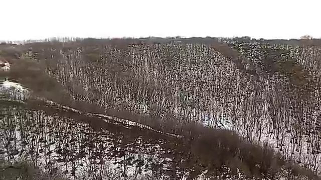 Охота с эстонским гончими смотреть онлайн