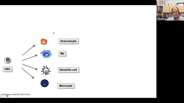 ICRN/ENS-CCA Webinar: "PSC & cholangiocarcinoma – where the research stands on the interconnection" смотреть онлайн