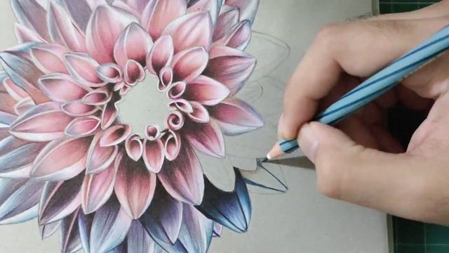 Realistic Flower sketch | Timelapse смотреть онлайн