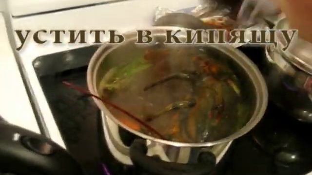 Мастерство в Творчестве