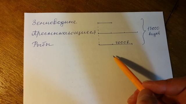 Математика 4 - 5 класс. Задача. смотреть онлайн