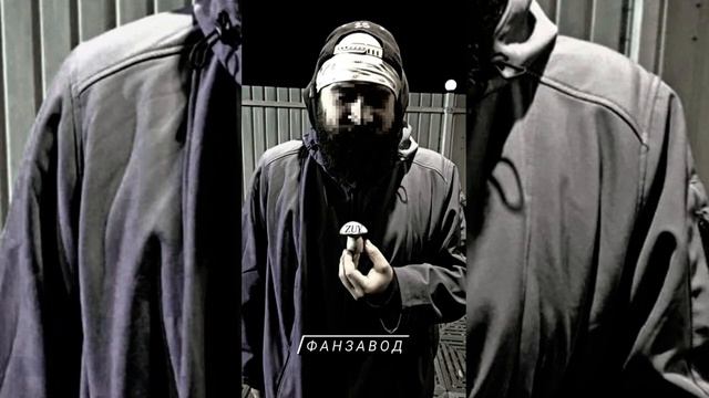 Zuy (Чёрная речка) - Фанзавод (s61p) смотреть онлайн
