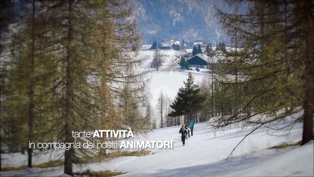 אופיר טורס | Ophir Tours