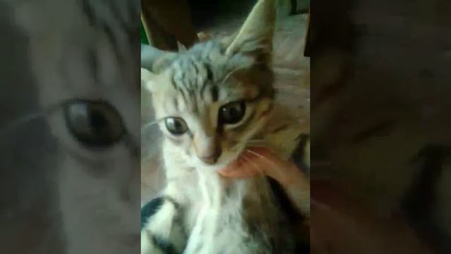 Дымовые кольца,самоделка смотреть онлайн