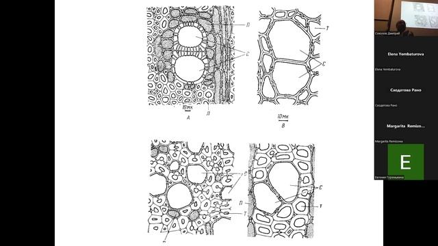 Тимонин Александр Константинович: "Горн Бонифатьевич Кедров (1923–1998): жизнь и научные идеи". смотреть онлайн