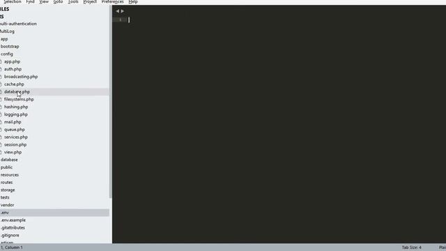 Multi Authentication Laravel 5.6 Parte 1 смотреть онлайн