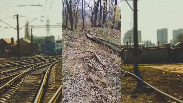 Воронеж: мужчина обнаружил настоящий скотомогильник на берегу реки Песчанка. ? смотреть онлайн