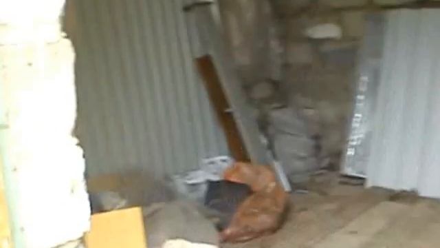 Как скрипит дверь сарайчика 1.MP4 смотреть онлайн