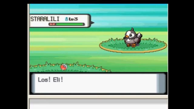 Let´s play Pokemon Perl [HD] (German) [#2] - Train Eli !! смотреть онлайн