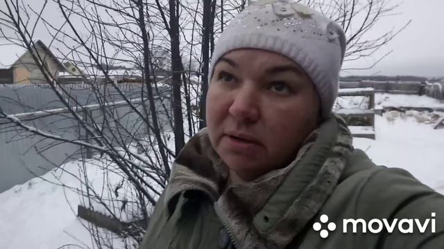 Год только начался.Считаем потери в хозяйстве.Темпания рубца.Что бывает если у вас рогатые козы. смотреть онлайн