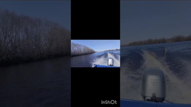 Жду лето, ради этой свободы