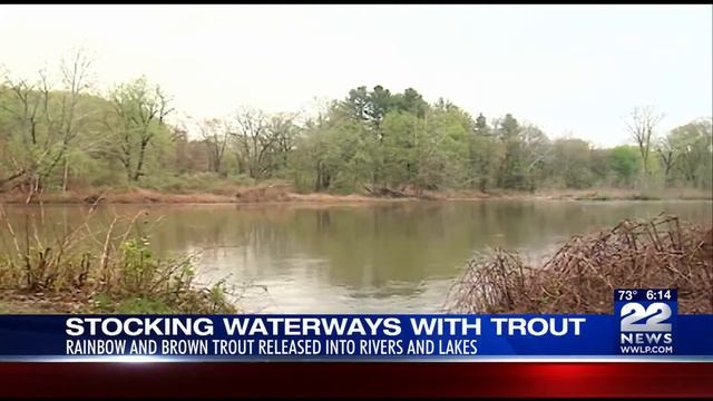Local rivers, lakes stocked with rainbow trout this spring смотреть онлайн