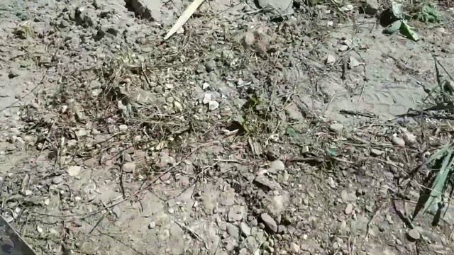 Дом в Фокусе